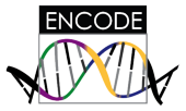 ENCODE Project at NHGRI